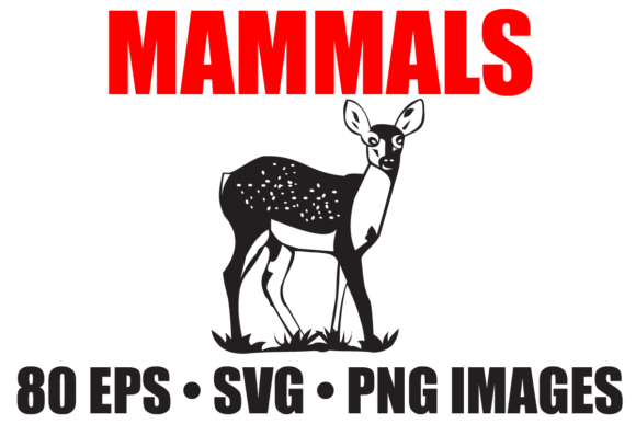 Download Mammal Animals Vector Collection - Animals Collection